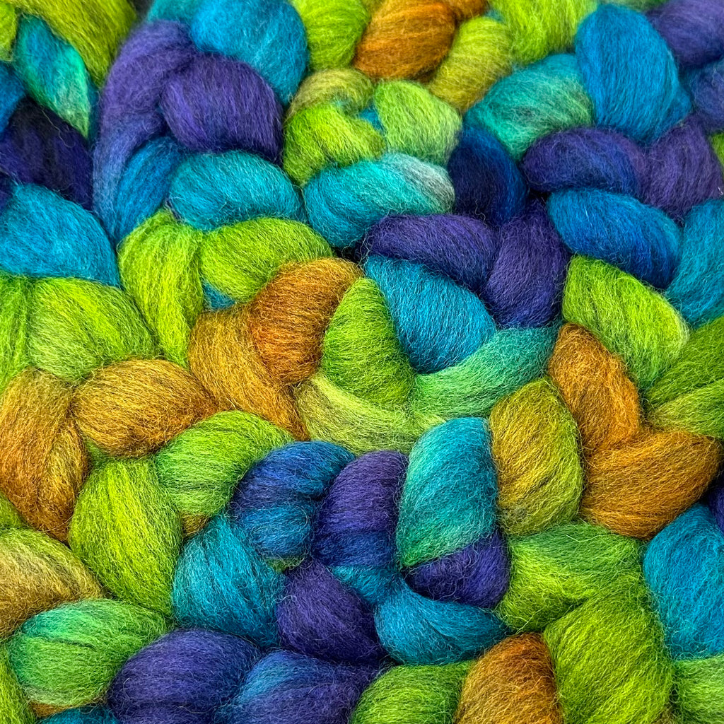 BFL Blue Faced Leicester combed top Margaritaville