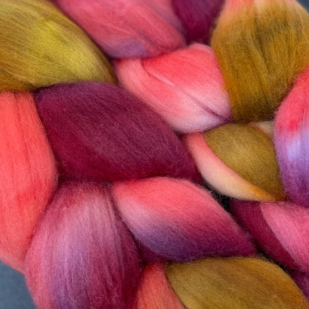 Organic Polwarth combed top Candy Apple