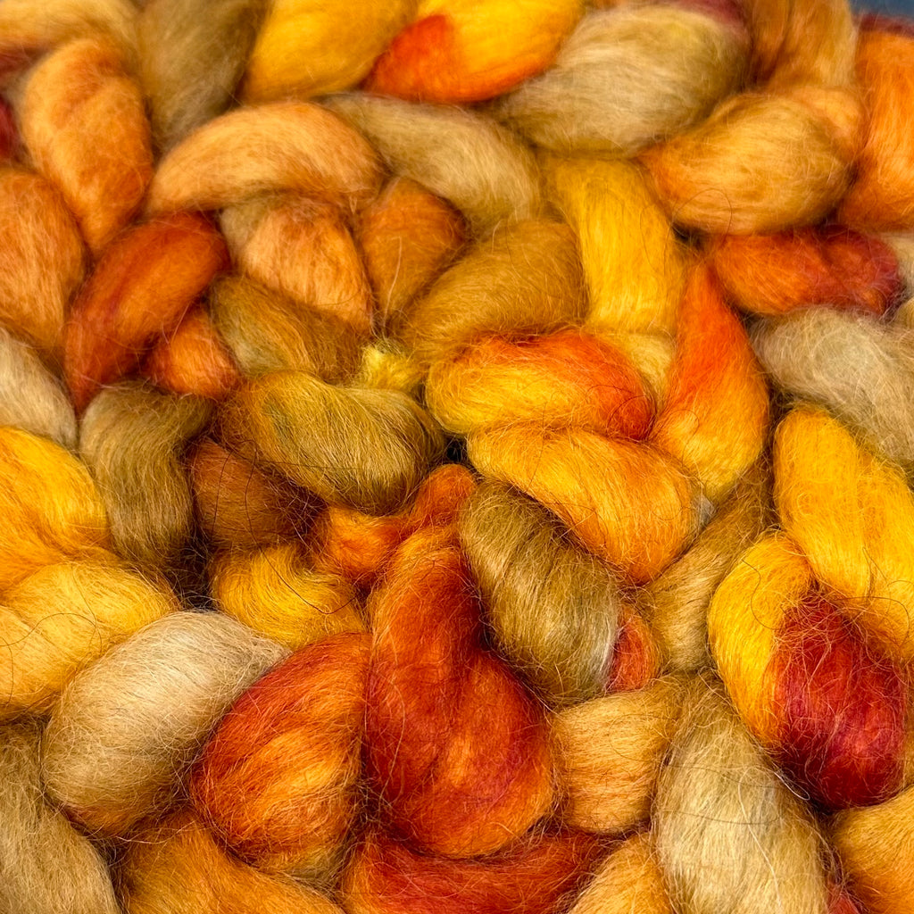 Wensleydale longwool top spinning fiber Sturgis