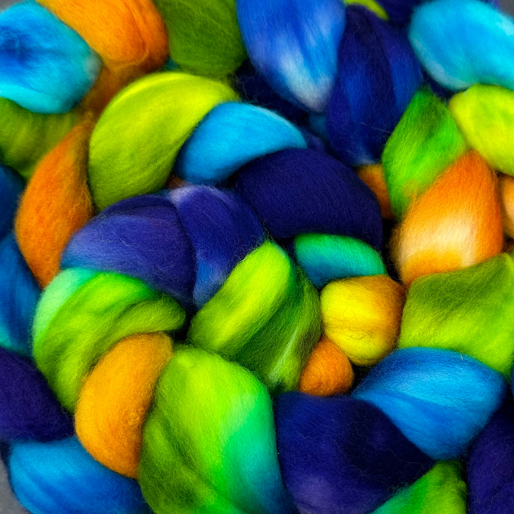 Superwash Merino Combed Top 18.5 micro Margaritaville