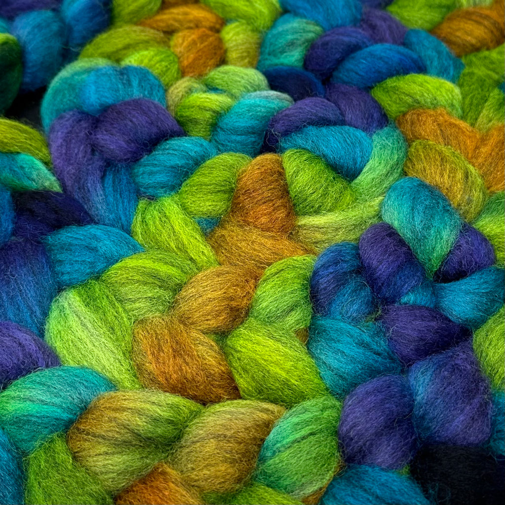 BFL Blue Faced Leicester combed top Margaritaville