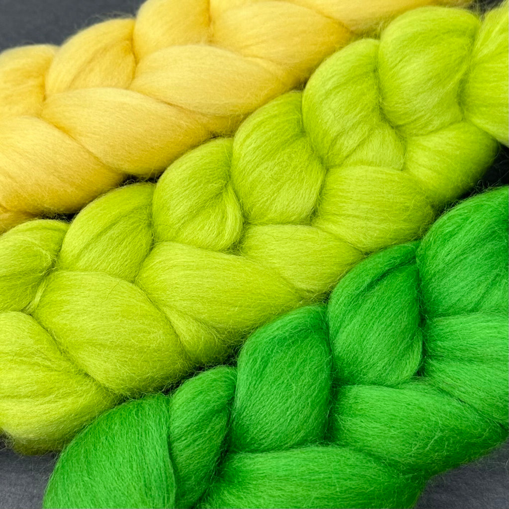 Gradient Merino Combed Top Spin Set Shamrock