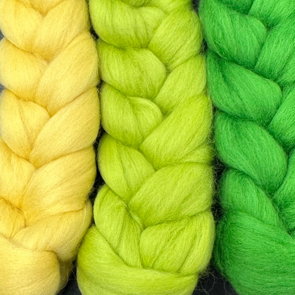 Gradient Merino Combed Top Spin Set Shamrock