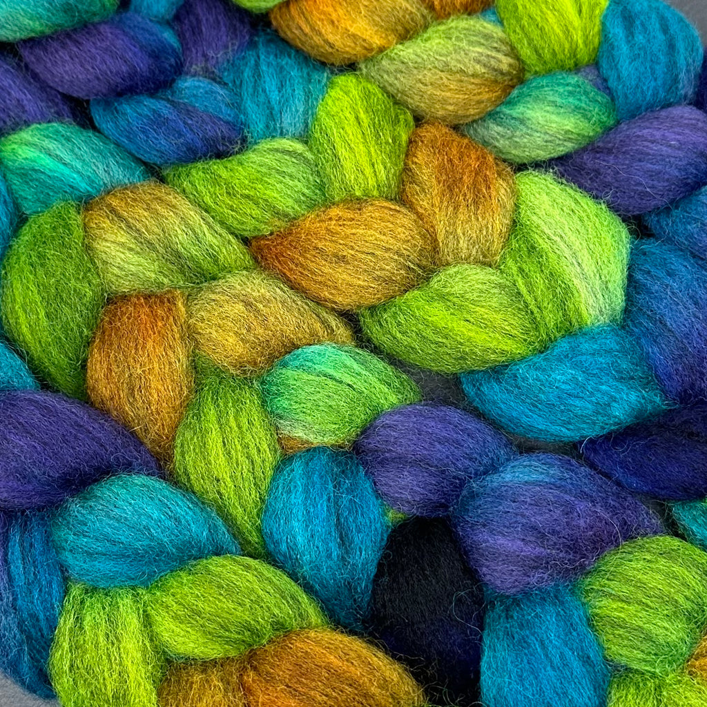 BFL Blue Faced Leicester combed top Margaritaville