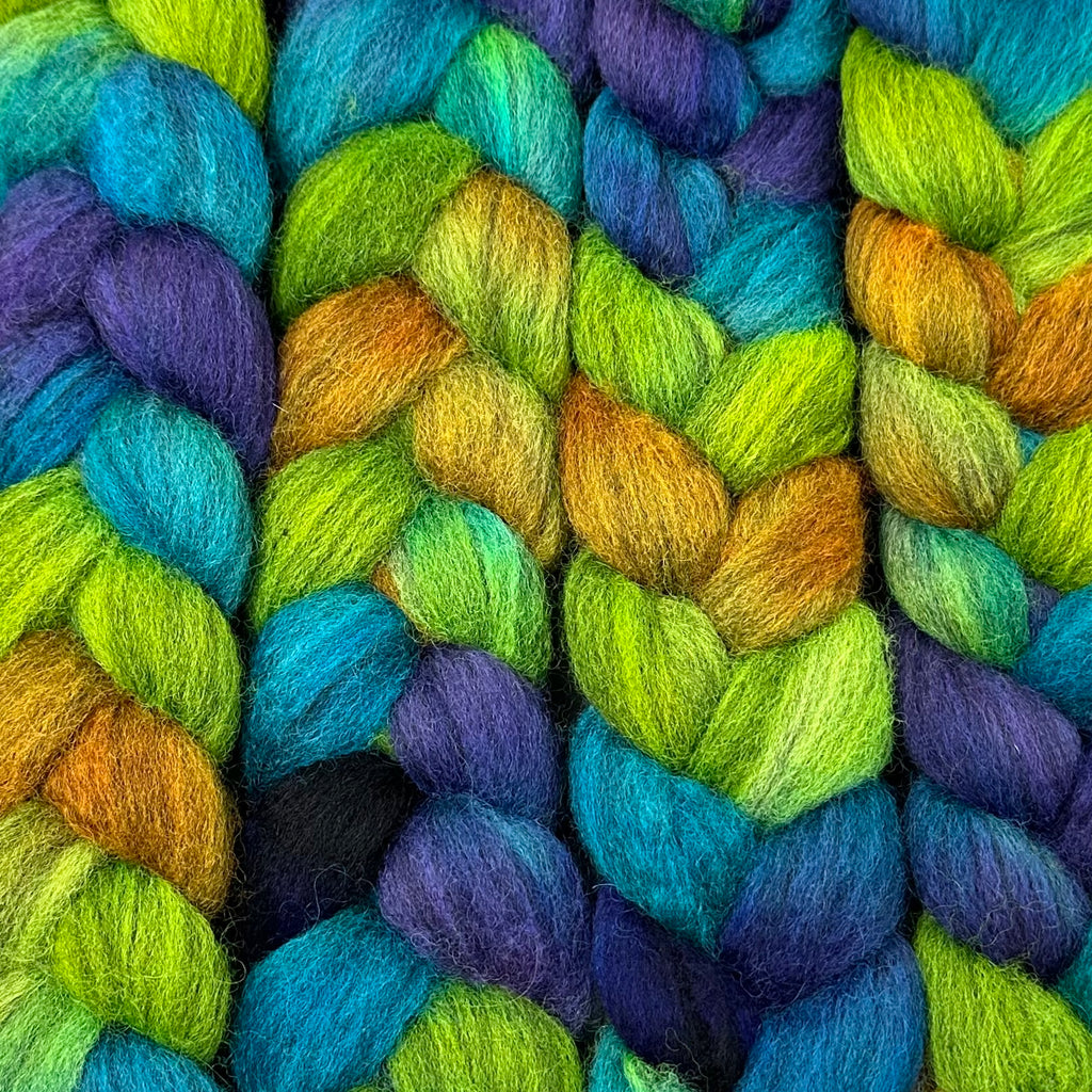 BFL Blue Faced Leicester combed top Margaritaville