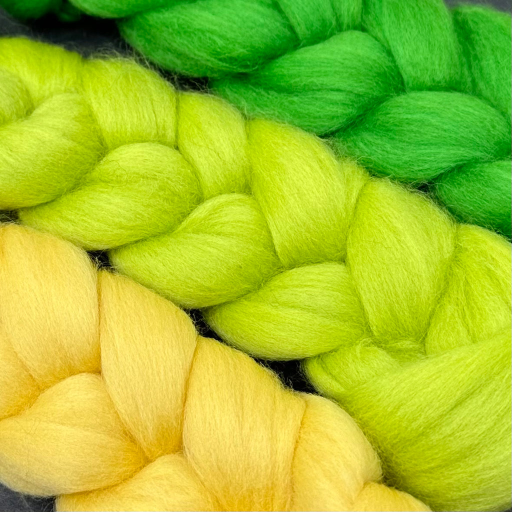 Gradient Merino Combed Top Spin Set Shamrock