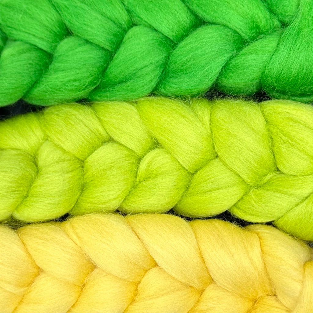 Gradient Merino Combed Top Spin Set Shamrock