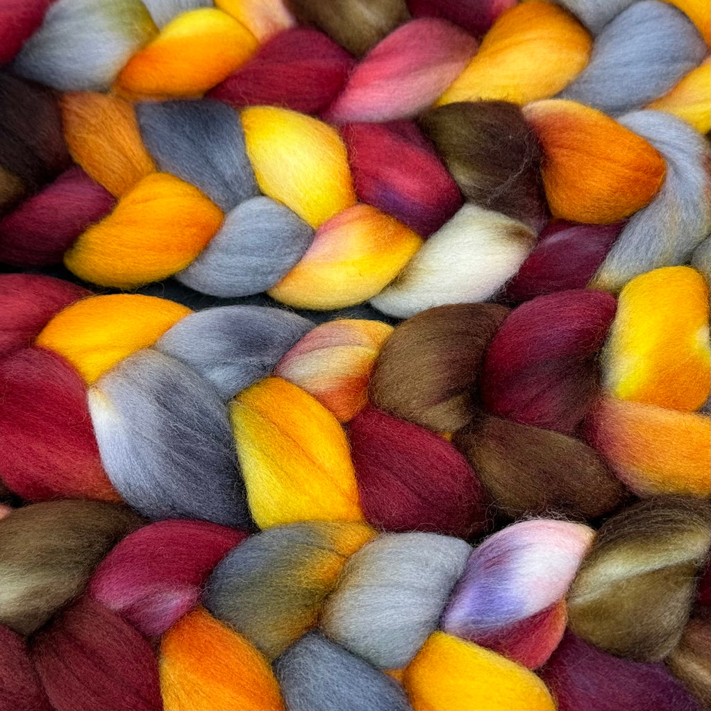 American Targhee wool top spinning fiber Dark Harvest