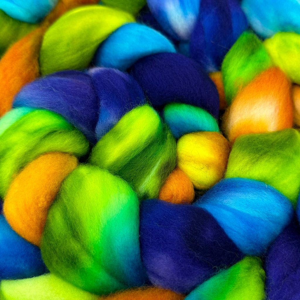 Superwash Merino Combed Top 18.5 micro Margaritaville