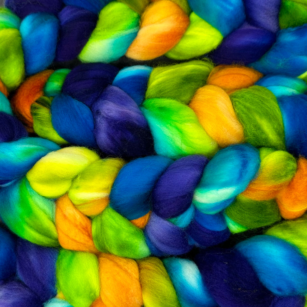 Superwash Merino Combed Top 18.5 micro Margaritaville