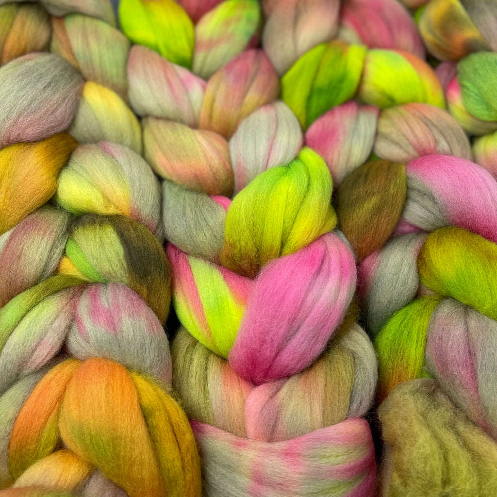 Organic Polwarth combed top Tea Rose