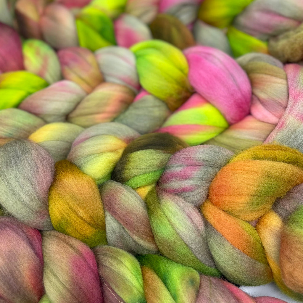 Organic Polwarth combed top Tea Rose