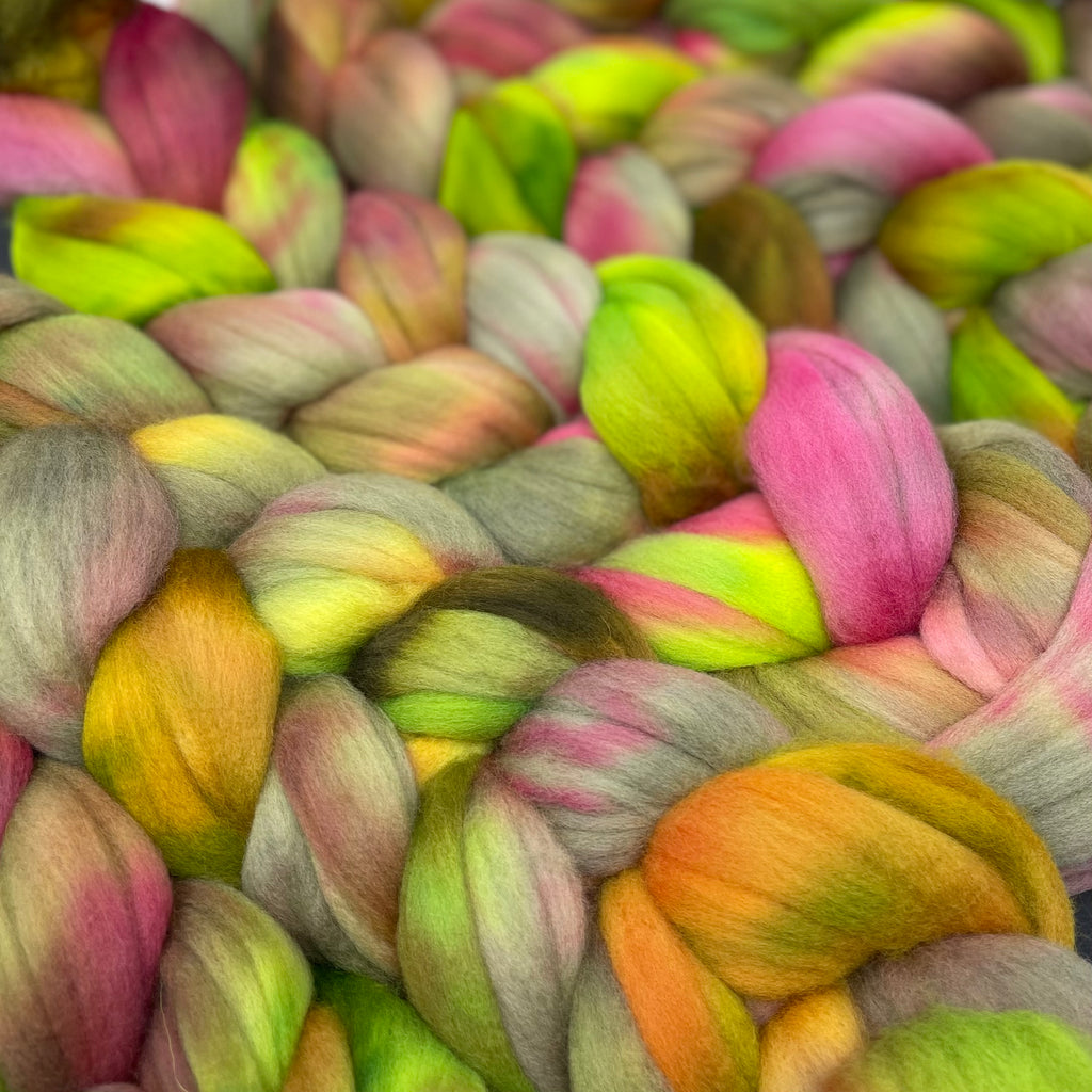 Organic Polwarth combed top Tea Rose