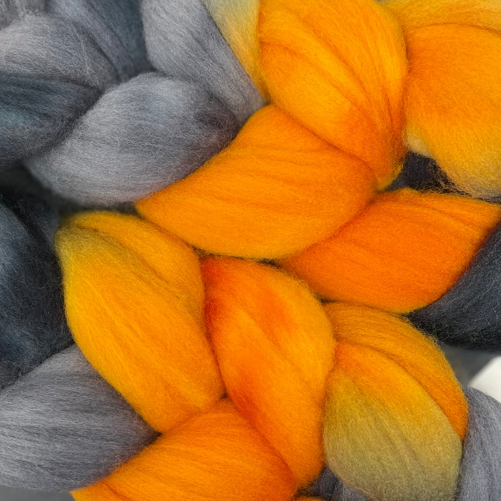 Organic Polwarth combed top Black Hills
