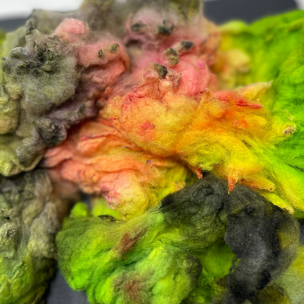Hand Dyed fleece felting spinning Cormo Tea Rose