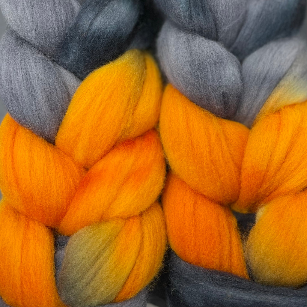Organic Polwarth combed top Black Hills
