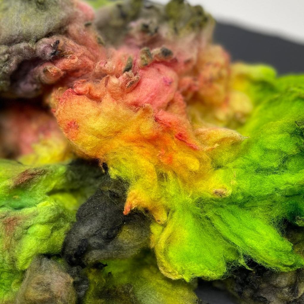 Hand Dyed fleece felting spinning Cormo Tea Rose