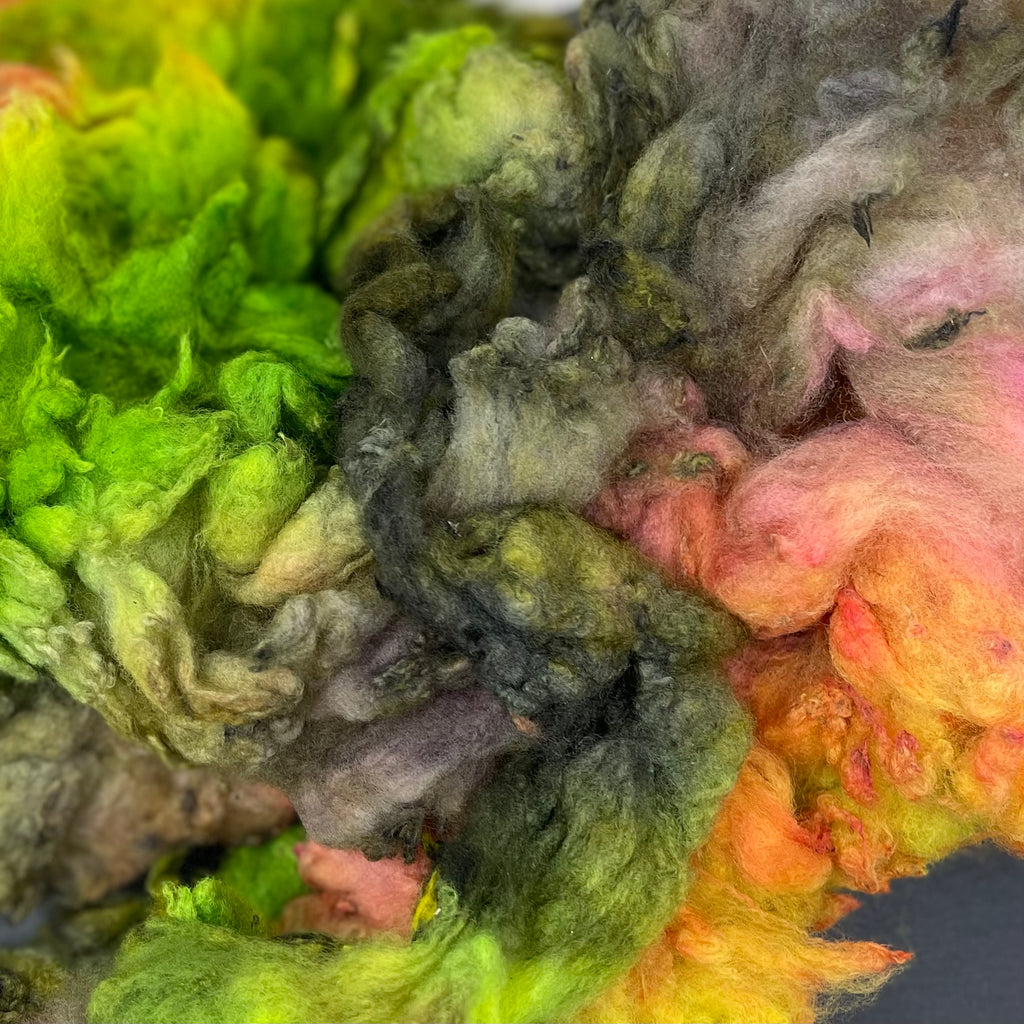 Hand Dyed fleece felting spinning Cormo Tea Rose