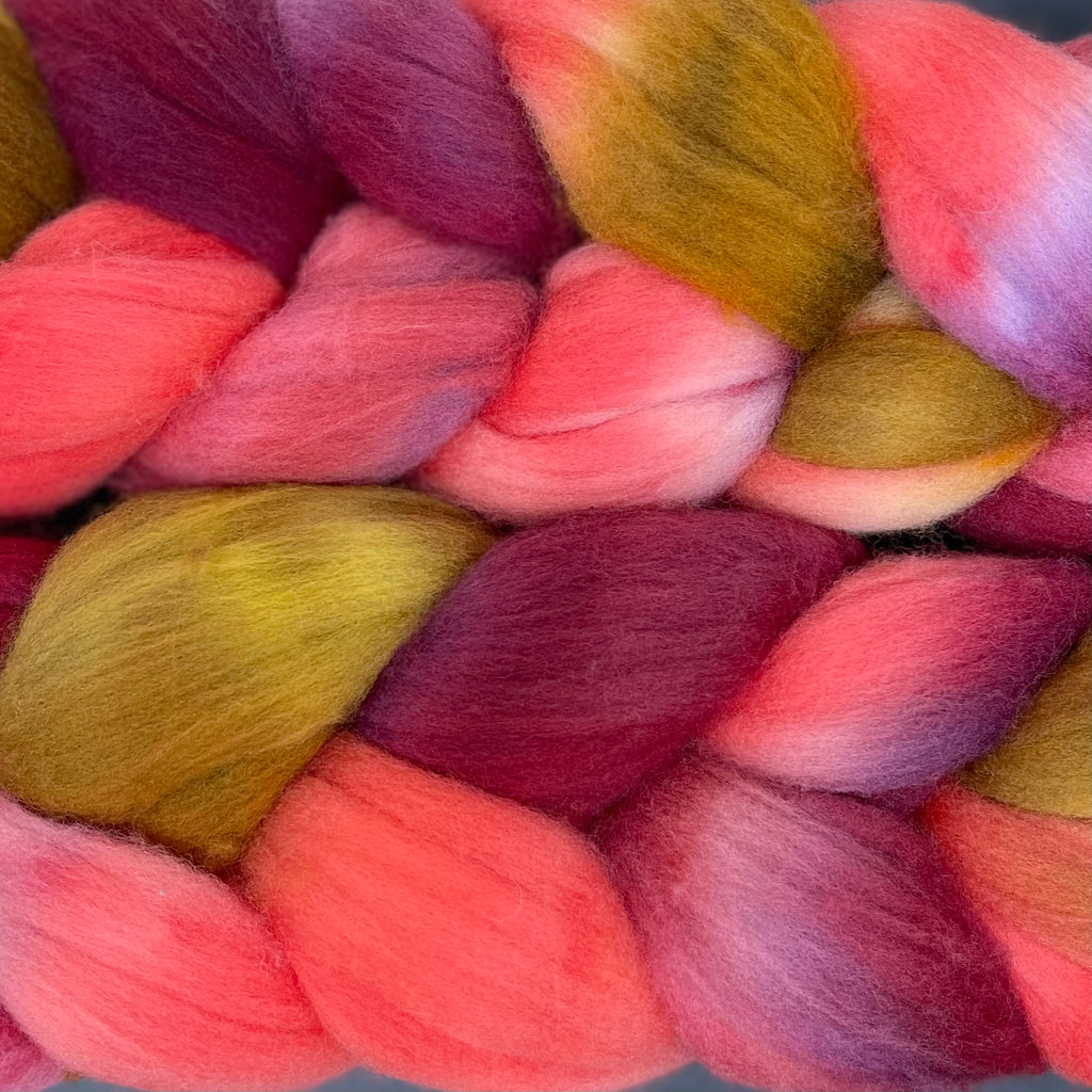 Organic Polwarth combed top Candy Apple