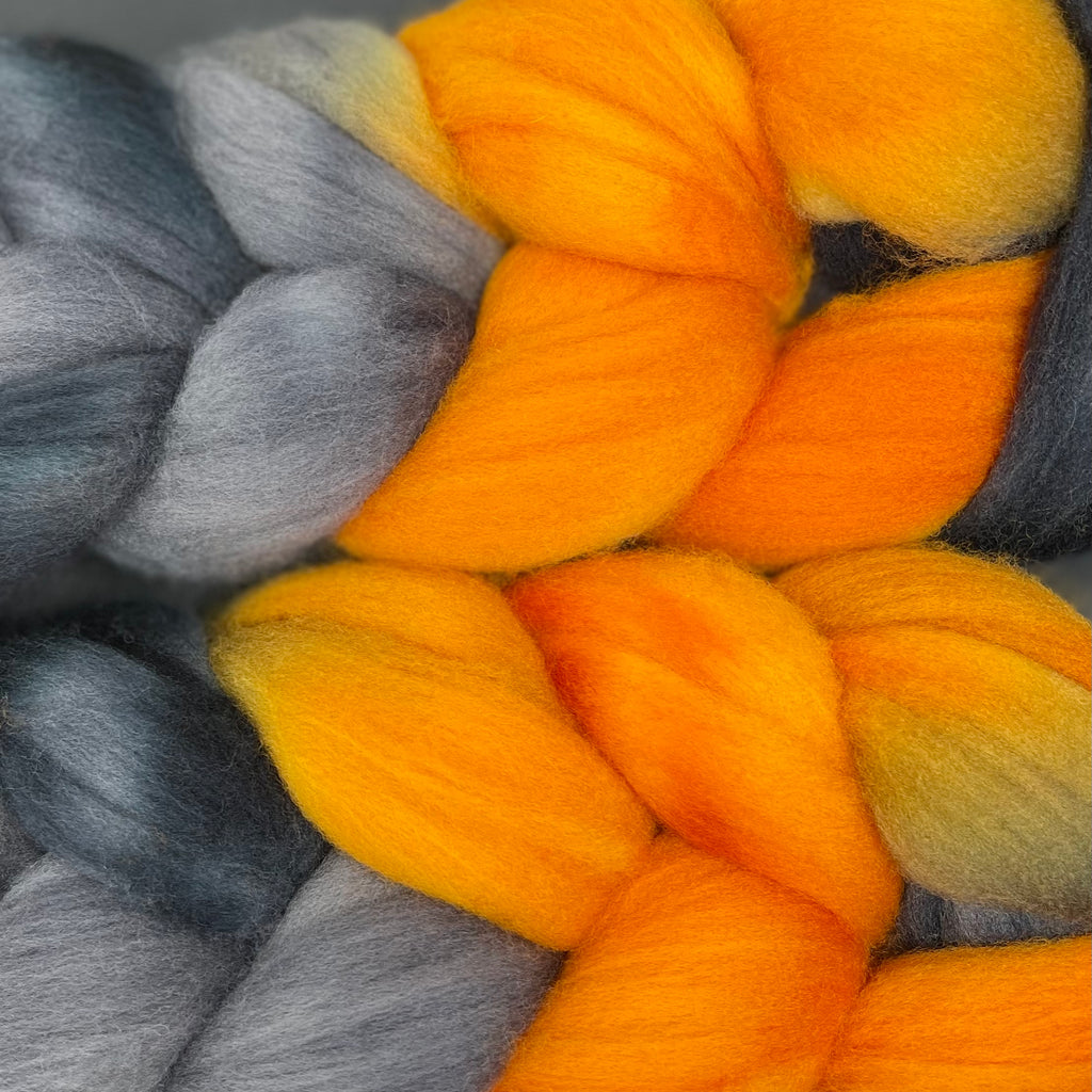 Organic Polwarth combed top Black Hills