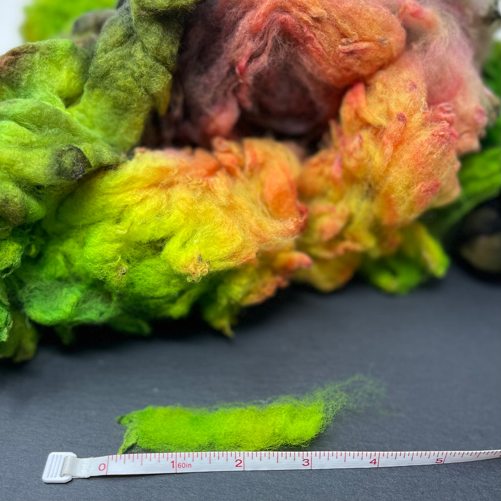 Hand Dyed fleece felting spinning Cormo Tea Rose