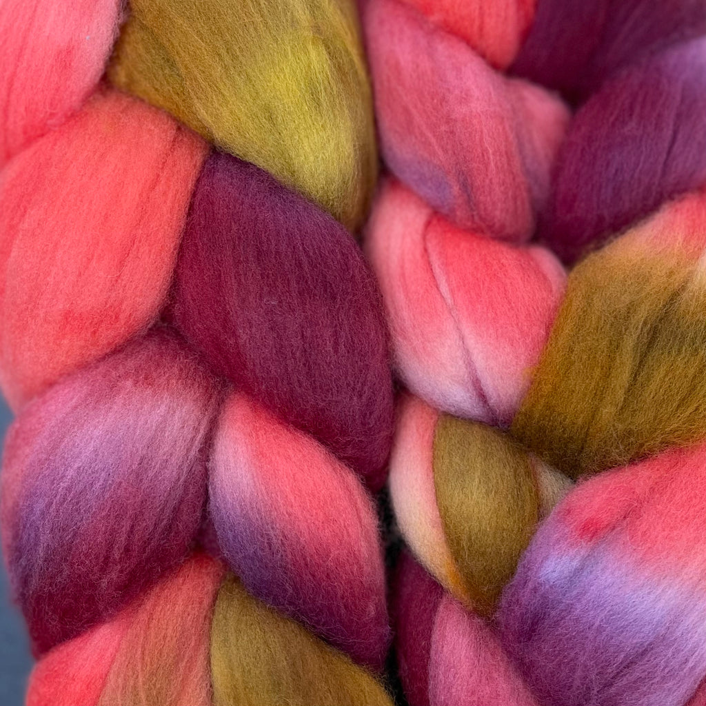 Organic Polwarth combed top Candy Apple